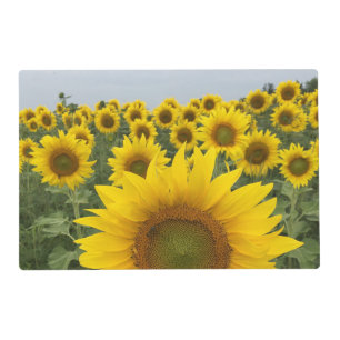 Sunflowers Harvest Country Floral Photo Placemat