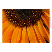 Sunflowers II (Front Horizontal)