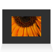 Sunflowers II Cards (Inside Horizontal (Top))