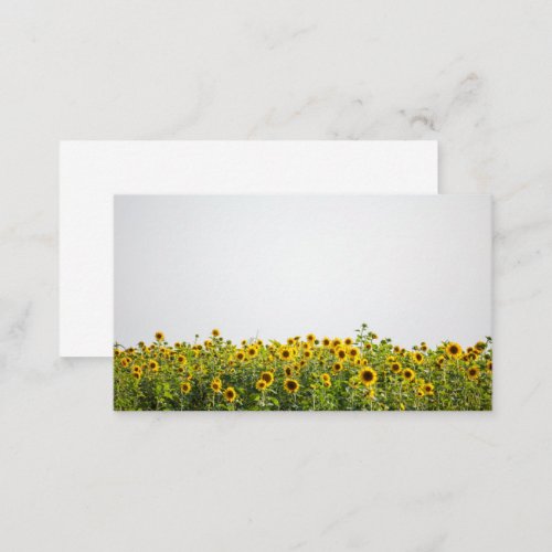 Sunflowers in a Field Business Card