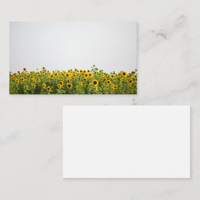 Sunflowers in a Field Business Card (Front/Back)