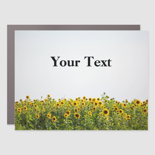 Sunflowers in a Field Car Magnet (Front)