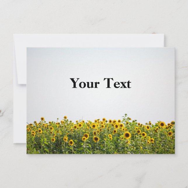Sunflowers in a Field Invitation (Front)