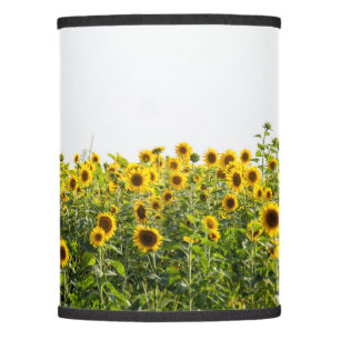 Sunflowers in a Field Lamp Shade