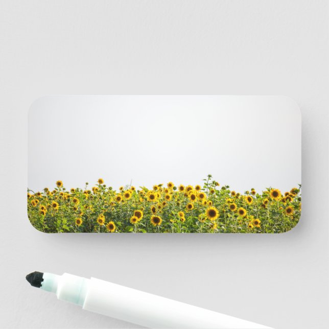 Sunflowers in a Field Name Tag (In Situ)
