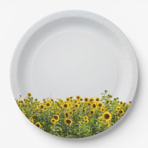 Sunflowers in a Field Paper Plates