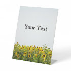 Sunflowers in a Field