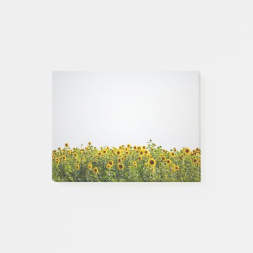 Sunflowers in a Field Post_it Notes