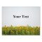 Sunflowers in a Field