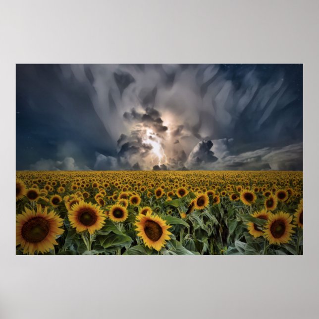 Sunflowers In A Storm Poster (Front)