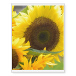Sunflowers in Bloom Temporary Tattoos
