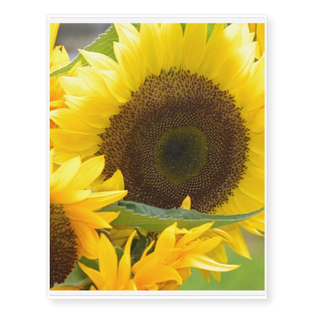 Sunflowers in Bloom Temporary Tattoos (Front)