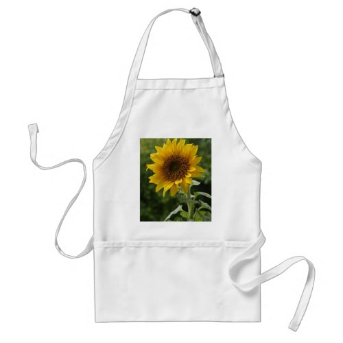 Sunflowers In Field Adult Apron