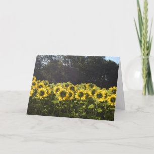 Sunflowers In France Holiday Card