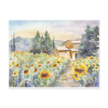 Sunflowers In Provence