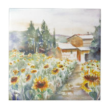 Sunflowers In Provence
