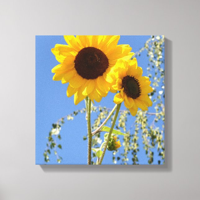 Sunflowers in the Sky Canvas Print (Front)