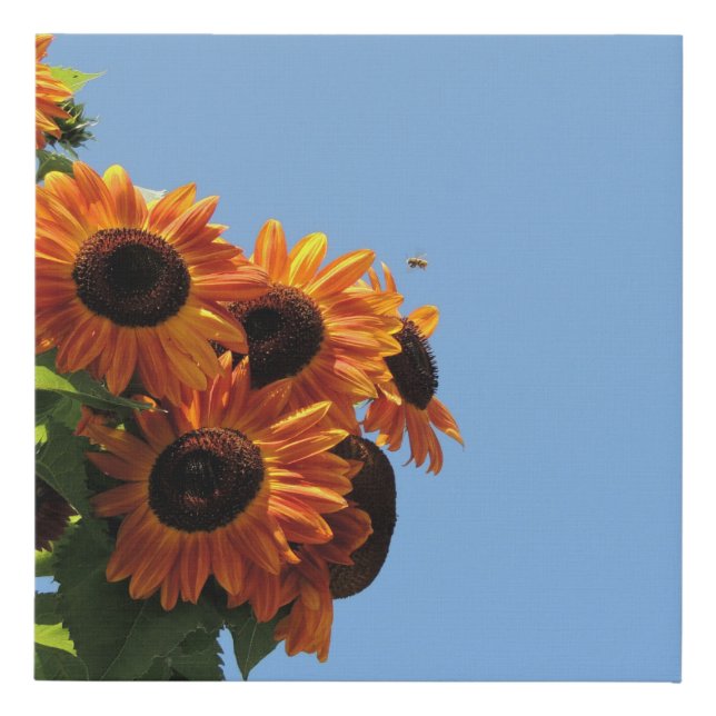 Sunflowers in the Sunshine Canvas Art (Front)
