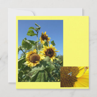 Sunflowers Invitation Card