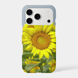 Sunflowers iPhone 17 Pro Case