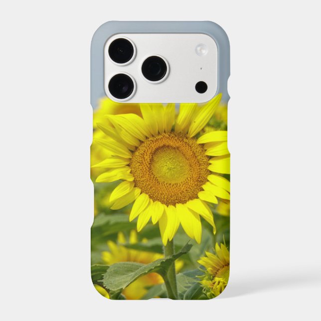 Sunflowers Iphone Case (Back)