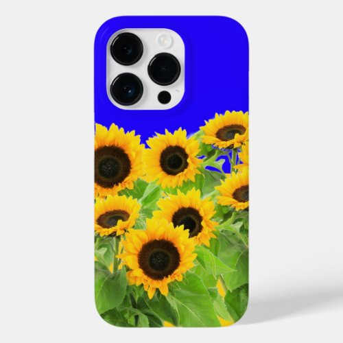 Sunflowers iPhone Case Ukraine Flag Colors