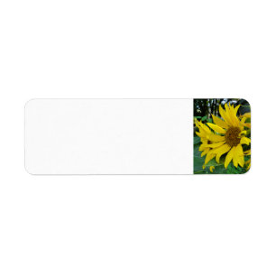 Sunflowers Label