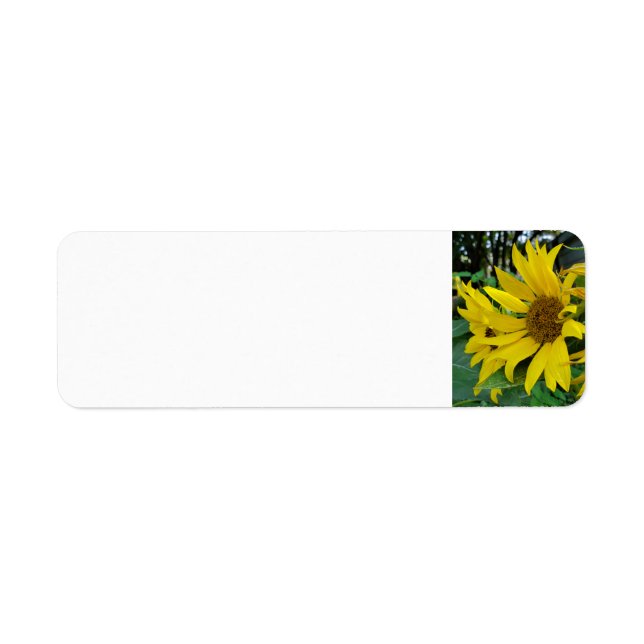 Sunflowers Label (Front)