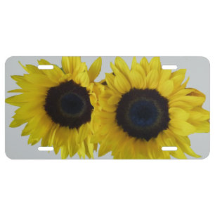 Sunflowers License Plate