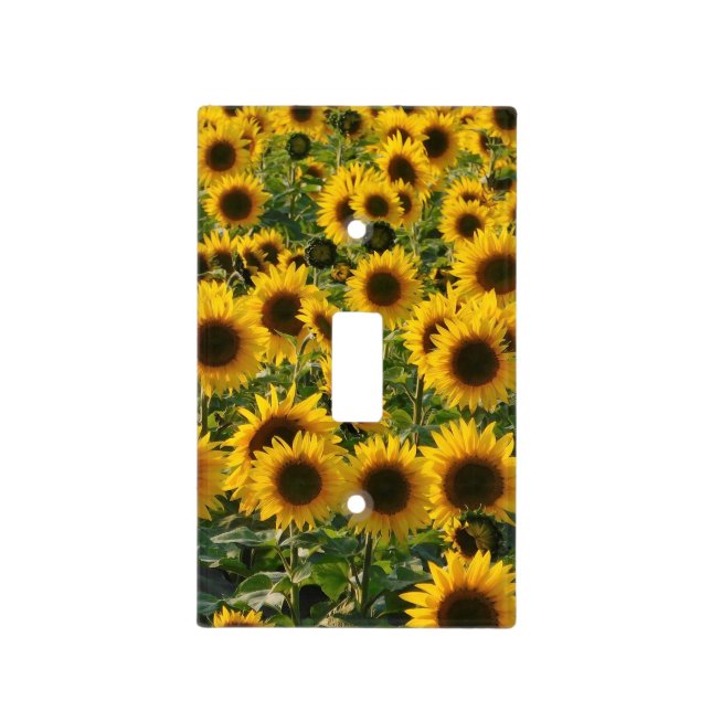 Sunflowers  Light Switch Cover (Front)