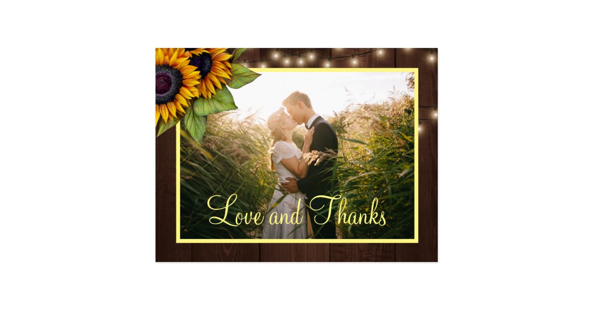 Sunflowers Love And Thanks Wedding Thank You Postcard Zazzle Sunflowers Love And Thanks Wedding
