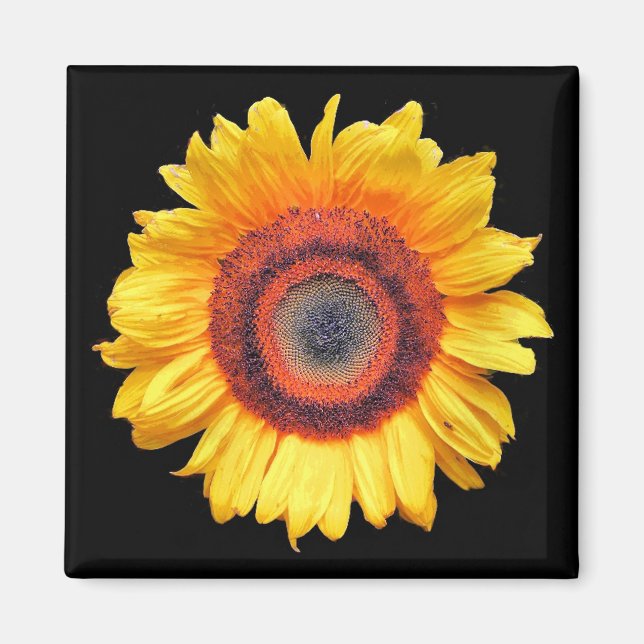 SUNFLOWERS MAGNET (Front)