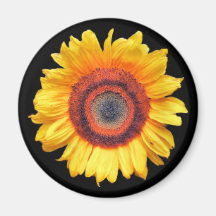 SUNFLOWERS MAGNET
