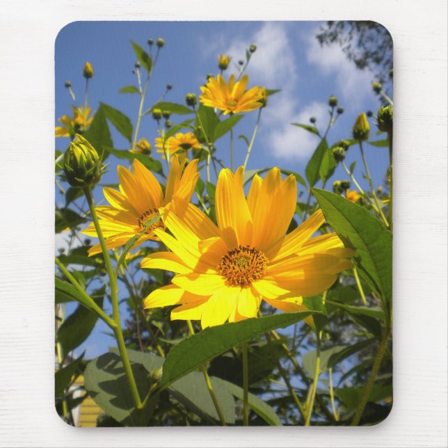 Sunflowers N Sky Wrapped Canvas Mouse Pad (Front)