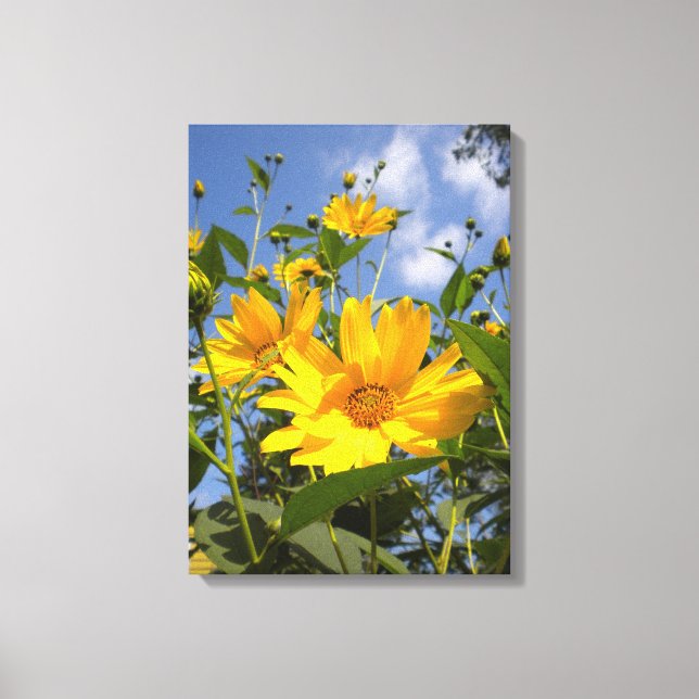Sunflowers N Sky Wrapped Canvas Print (Front)