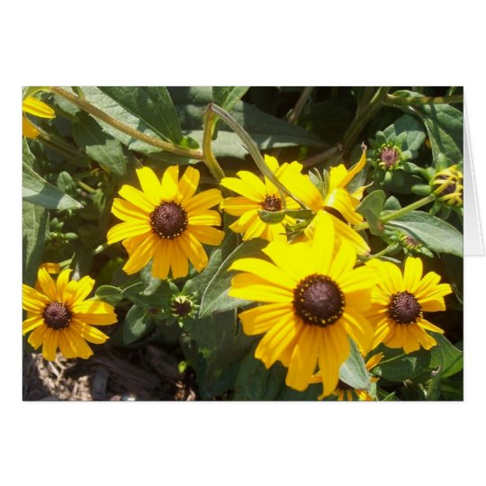 Sunflowers Notecard