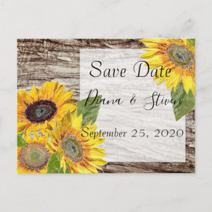 Sunflowers on a background of tree bark postcard