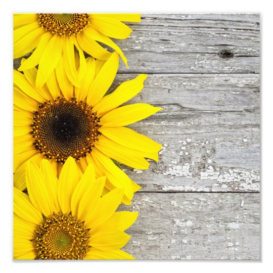 Sunflowers on a Table Photo Print | Zazzle.com