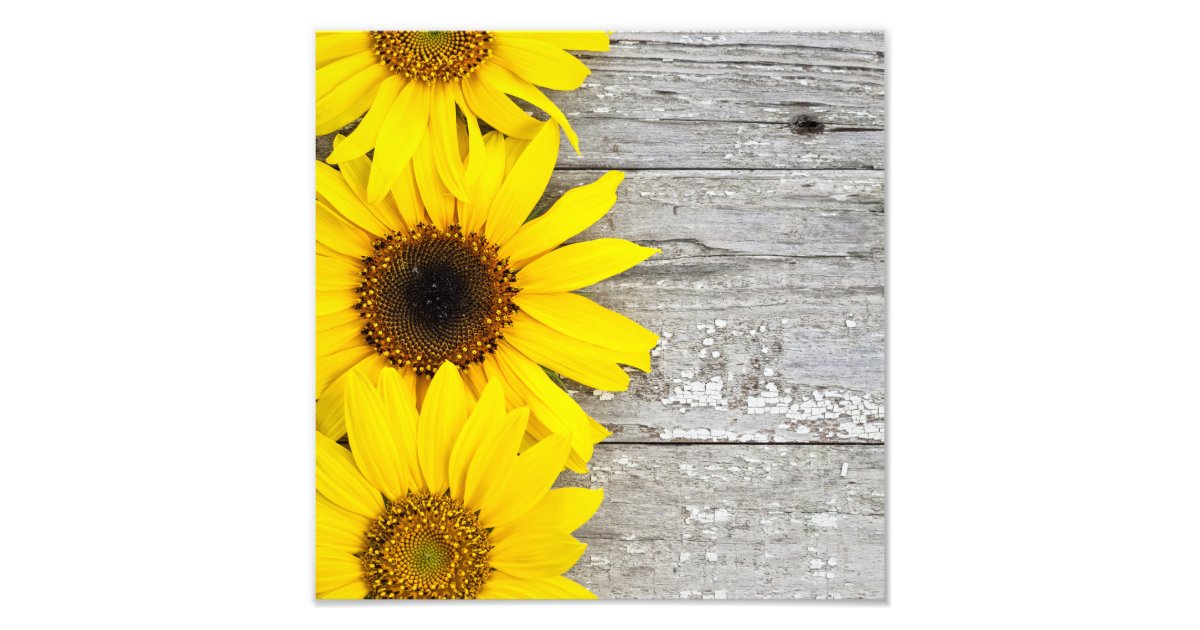 Sunflowers on a Table Photo Print Zazzle