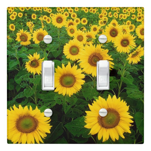 Sunflowers on Double Toggle Light Switch Cover (In Situ)
