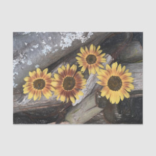 Sunflowers On Logs Yellow Vintage Rustic Tissue Paper