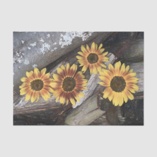 Sunflowers On Logs Yellow Vintage Rustic Tissue Paper