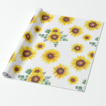 Sunflowers on White Background