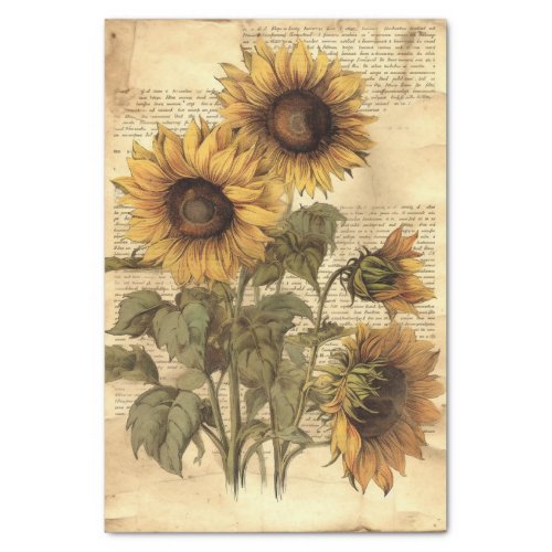 Sunflowers on Worn Style Parchment with Script Tissue Paper