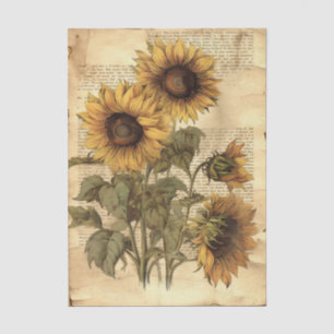 Sunflowers on Worn Style Parchment with Script Tissue Paper