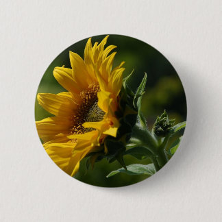 Sunflowers Petals Pollen Yellow Pinback Button