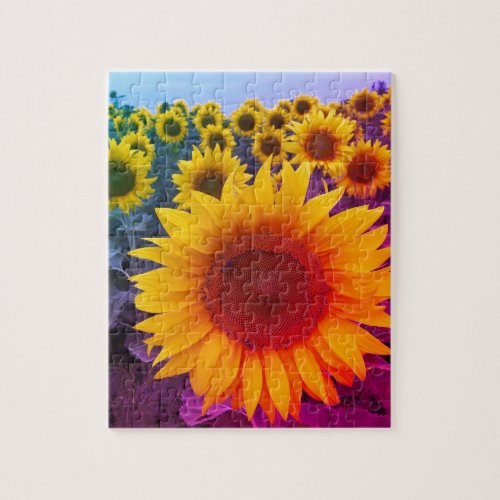 Sunflowers Photo Colorful Country Floral  Jigsaw Puzzle