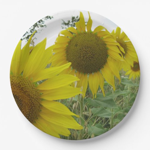 Sunflowers Photo Custom Paper Plates 9 in