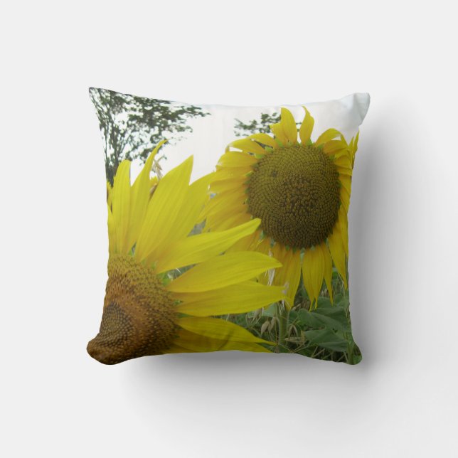 Sunflowers Photo Throw Cushion 41 cm x 41 cm (Front)