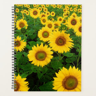 Sunflowers Planner